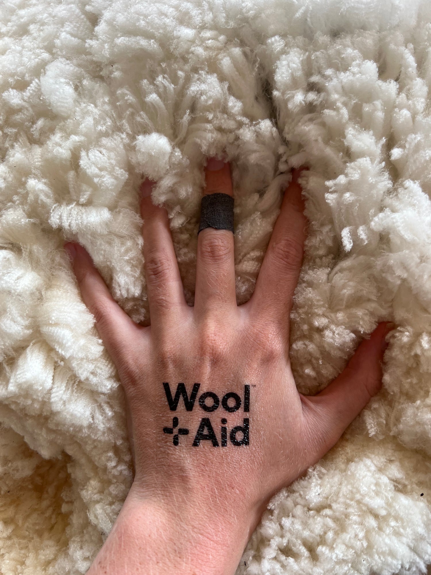 Wool Plaster