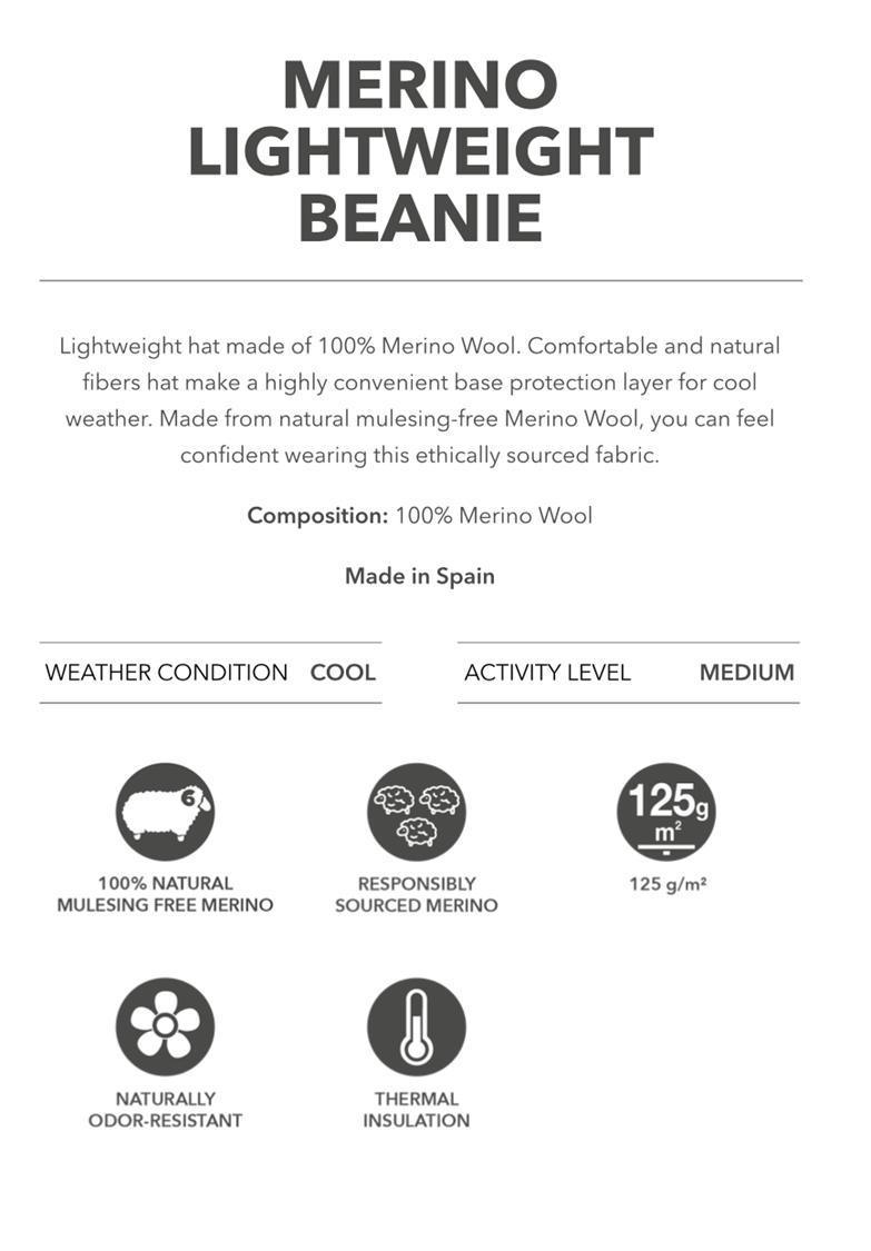Merino LW Beanie Info